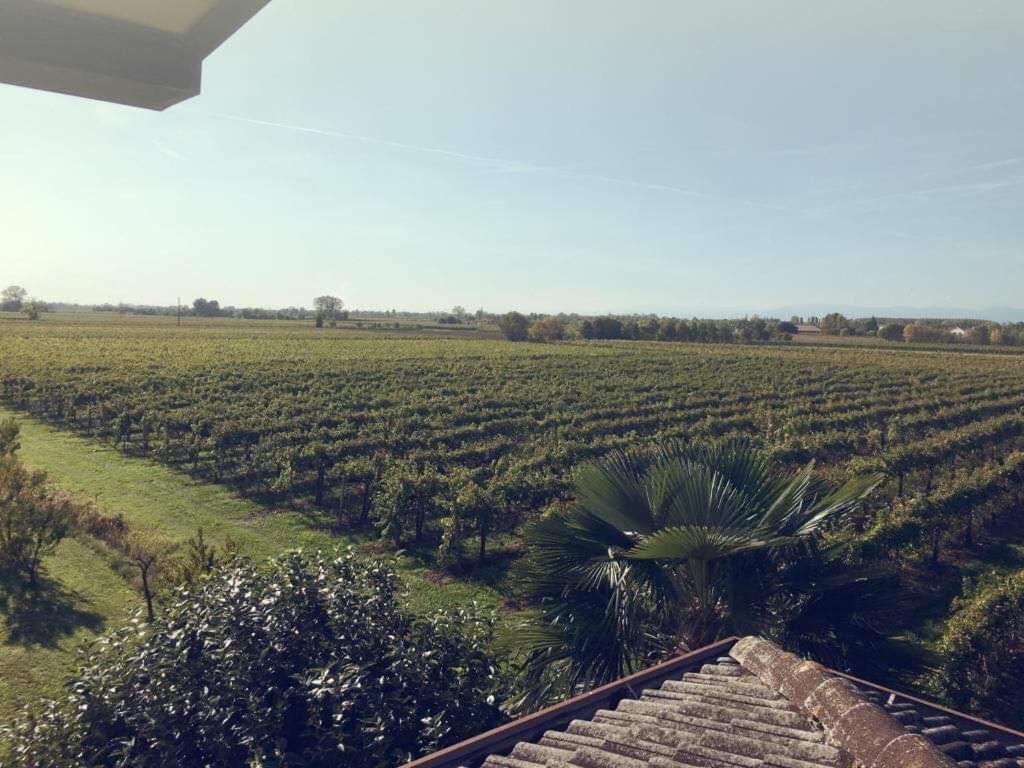 Villa Sofia Pramaggiore Zewnętrze zdjęcie