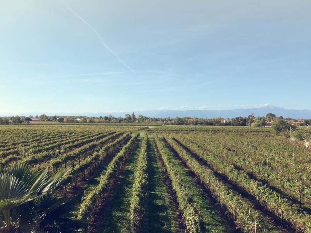 Villa Sofia Pramaggiore Zewnętrze zdjęcie